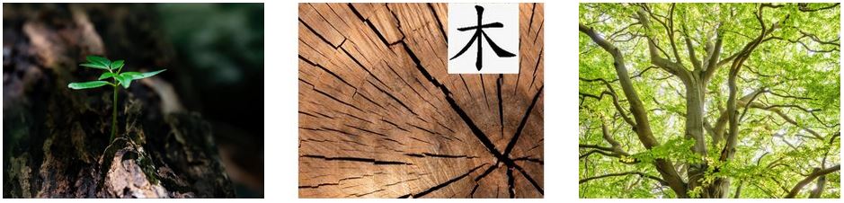 drei verschiedene Holz-Bilder mit chinesischen Zeichen für Holz